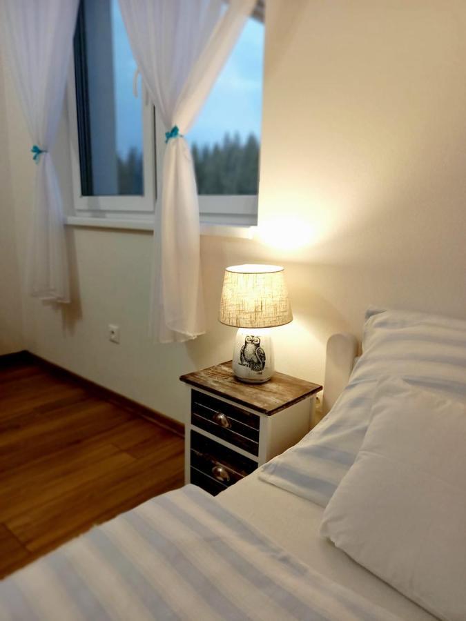 Apartman Pod Sivym Vrchom زوبيريتس المظهر الخارجي الصورة